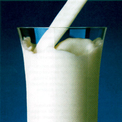 В состав молока входит белок казеин