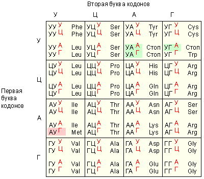 Генетический код
