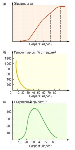 Абсолютная и относительная скорости роста
