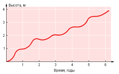 Кривая роста у деревьев