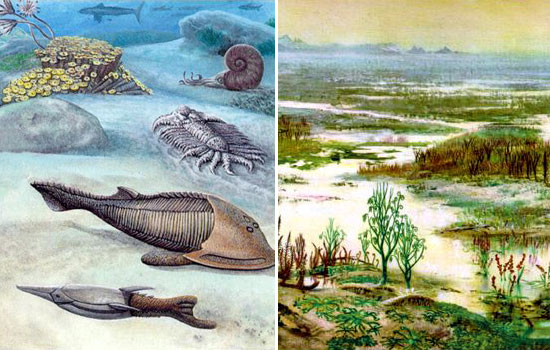 Моря и суша девона