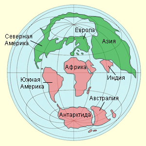 Земная суша в палеогене
