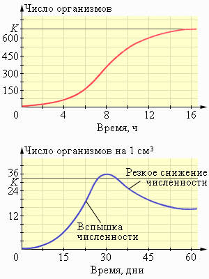 K- и r-стратегии популяций