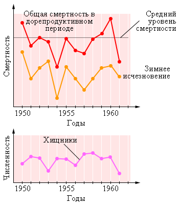 Колебания численности популяции зимней пяденицы и её хищников
