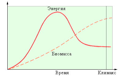 Продуктивность и биомасса при переходе к климаксному сообществу