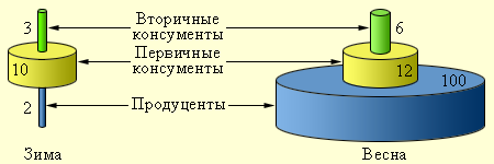 Пример сезонного изменения в пирамиде биомассы. 