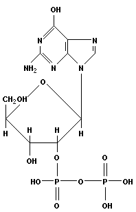 Структура нуклеотида. Гуанозин-1-рибо-2-дифосфат (ГДФ)